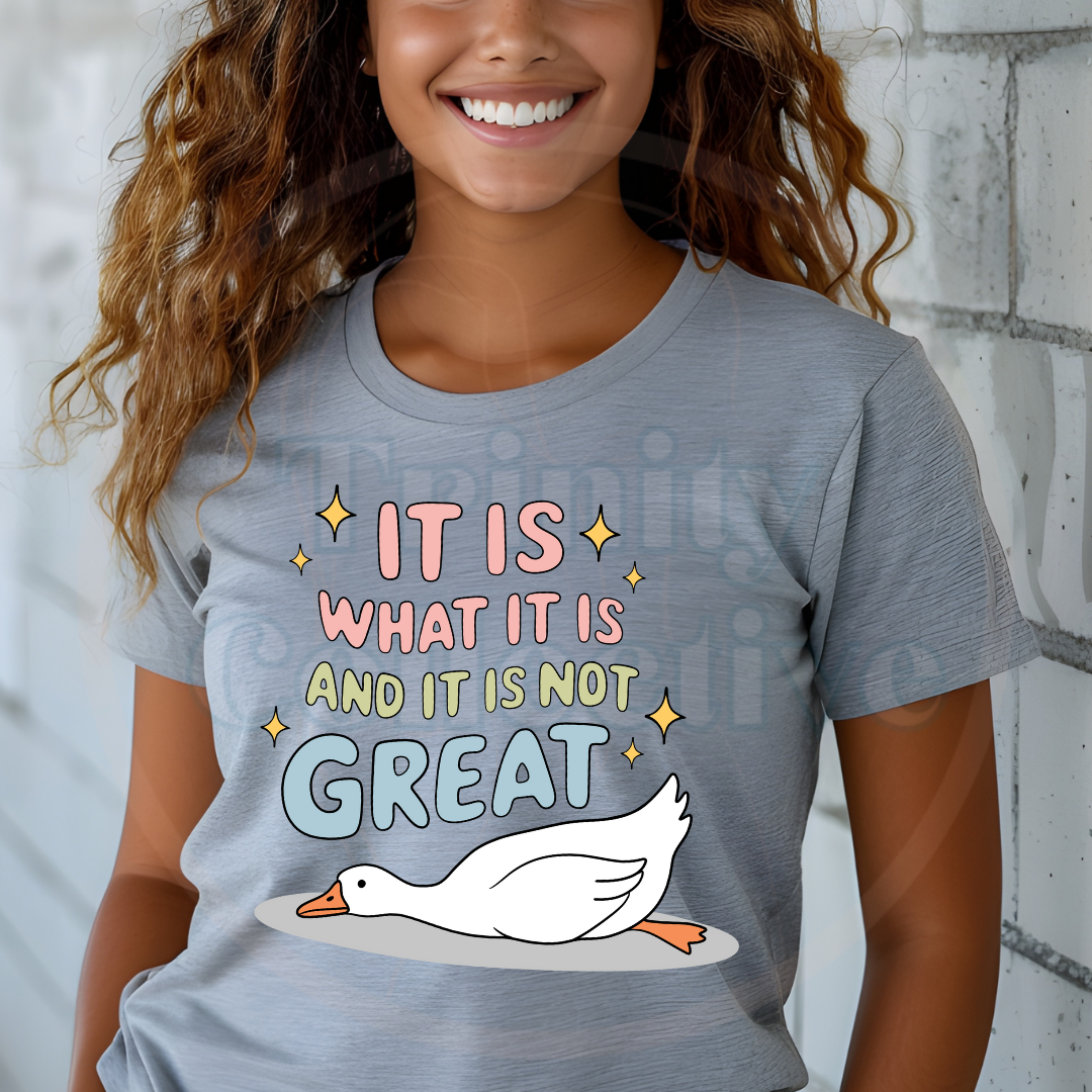 It is what it is | Graphic T-shirt