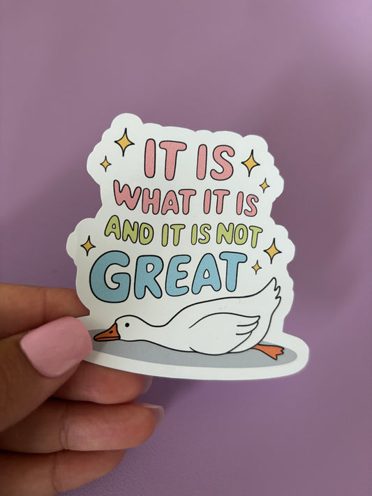 It is what it is | Vinyl Sticker